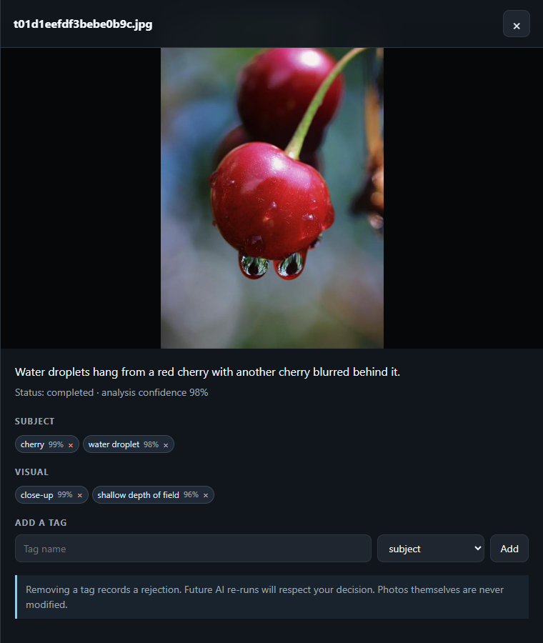 Actual description and tags for the cherry image