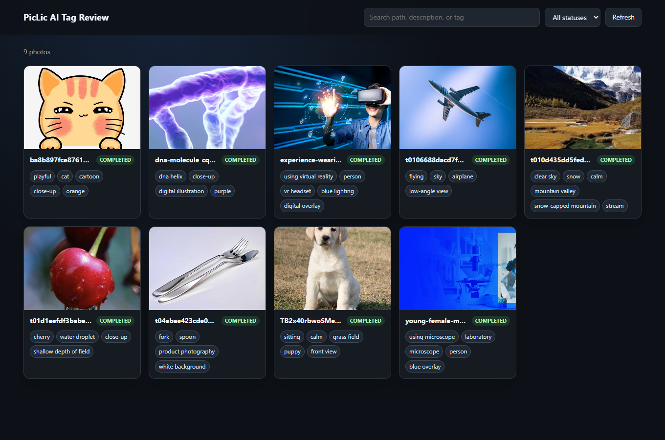 Review page showing all nine images as completed